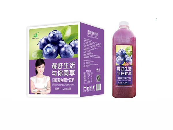 九州华洋 蓝莓复合果汁饮料 1.25LX6瓶